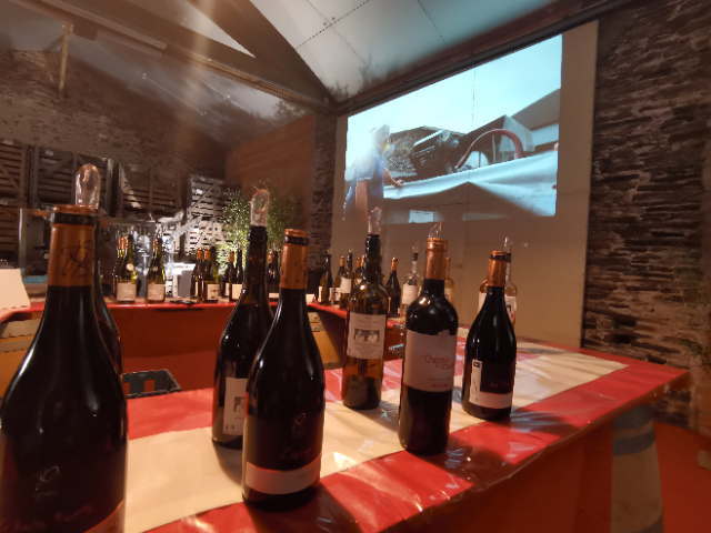 Portes Ouvertes de Novembre au Domaine Pétard Bazile